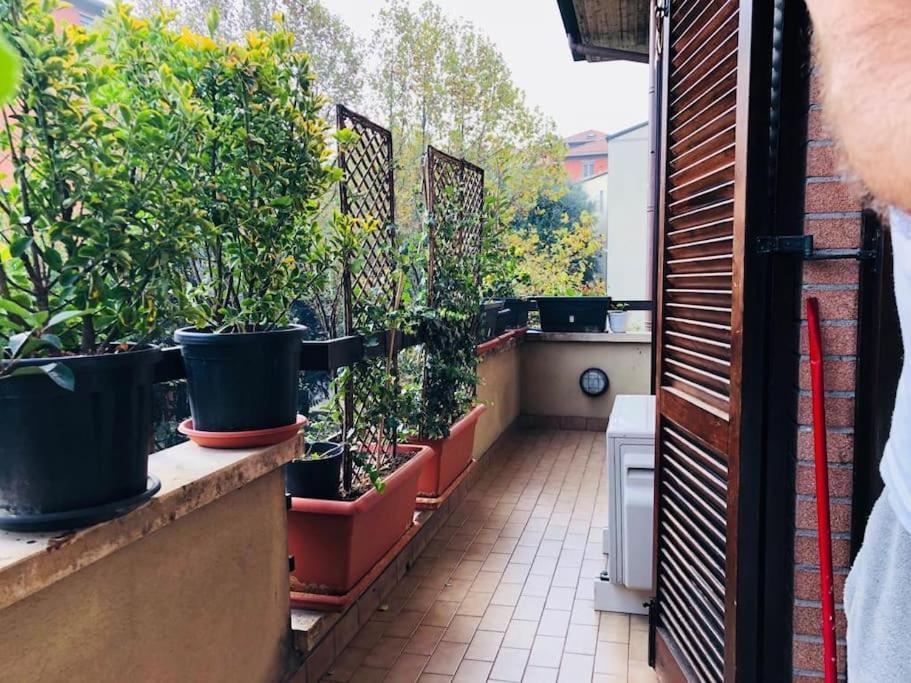 Ketty House B&B - Policlinico Di Monza, U-Power Stadium מראה חיצוני תמונה
