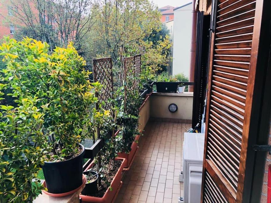 Ketty House B&B - Policlinico Di Monza, U-Power Stadium מראה חיצוני תמונה